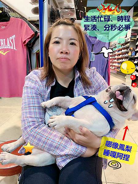 (frenchbulldog)cosnature德國植萃檸檬香蜂草控油潔顏慕斯48(frenchbulldog).jpg