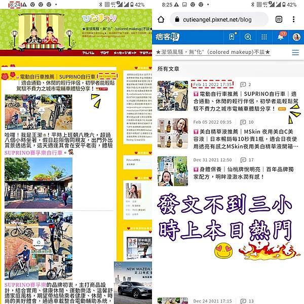 SUPRINO賽孚樂自行車46.jpg
