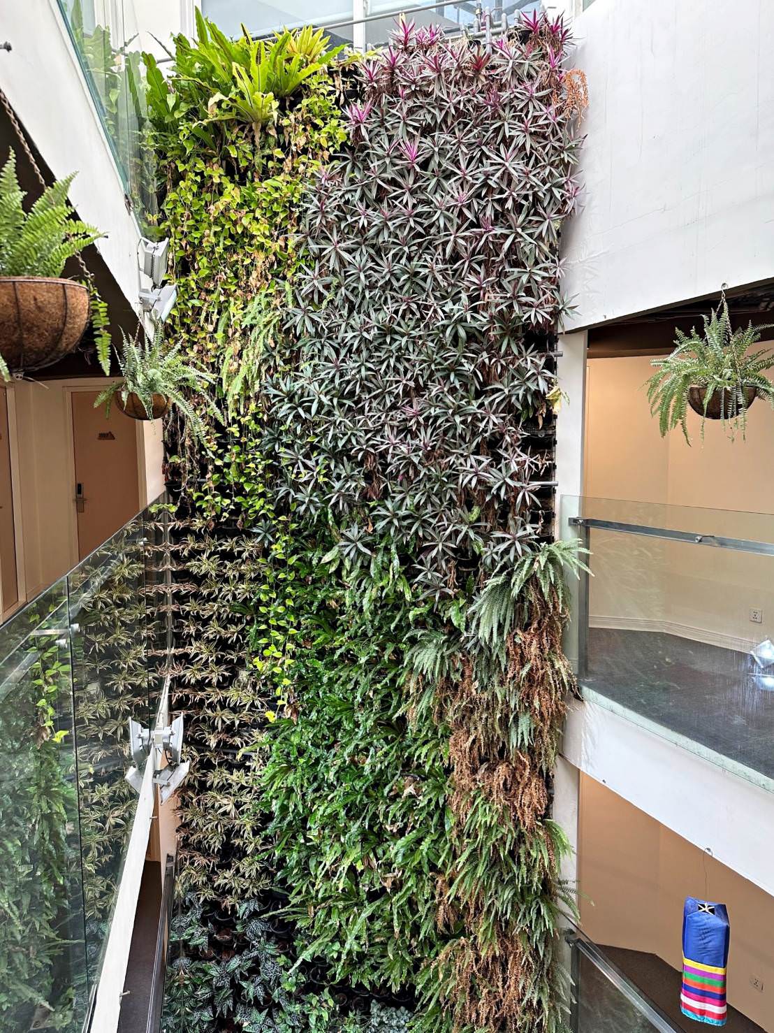 台中西屯區住宿推薦|台中逢甲住宿.葉綠宿旅館Green Hotel|室內就能享受採光、綠意與日光窗景,距離逢甲夜市步行不到5分鐘,吃喝玩樂生活機能方便之逢甲葉綠宿旅館入住心得分享! - 第68張圖 台中西屯區住宿推薦|台中逢甲住宿.葉綠宿旅館Green Hotel|室內就能享受採光、綠意與日光窗景,距離逢甲夜市步行不到5分鐘,吃喝玩樂生活機能方便之逢甲葉綠宿旅館入住心得分享!