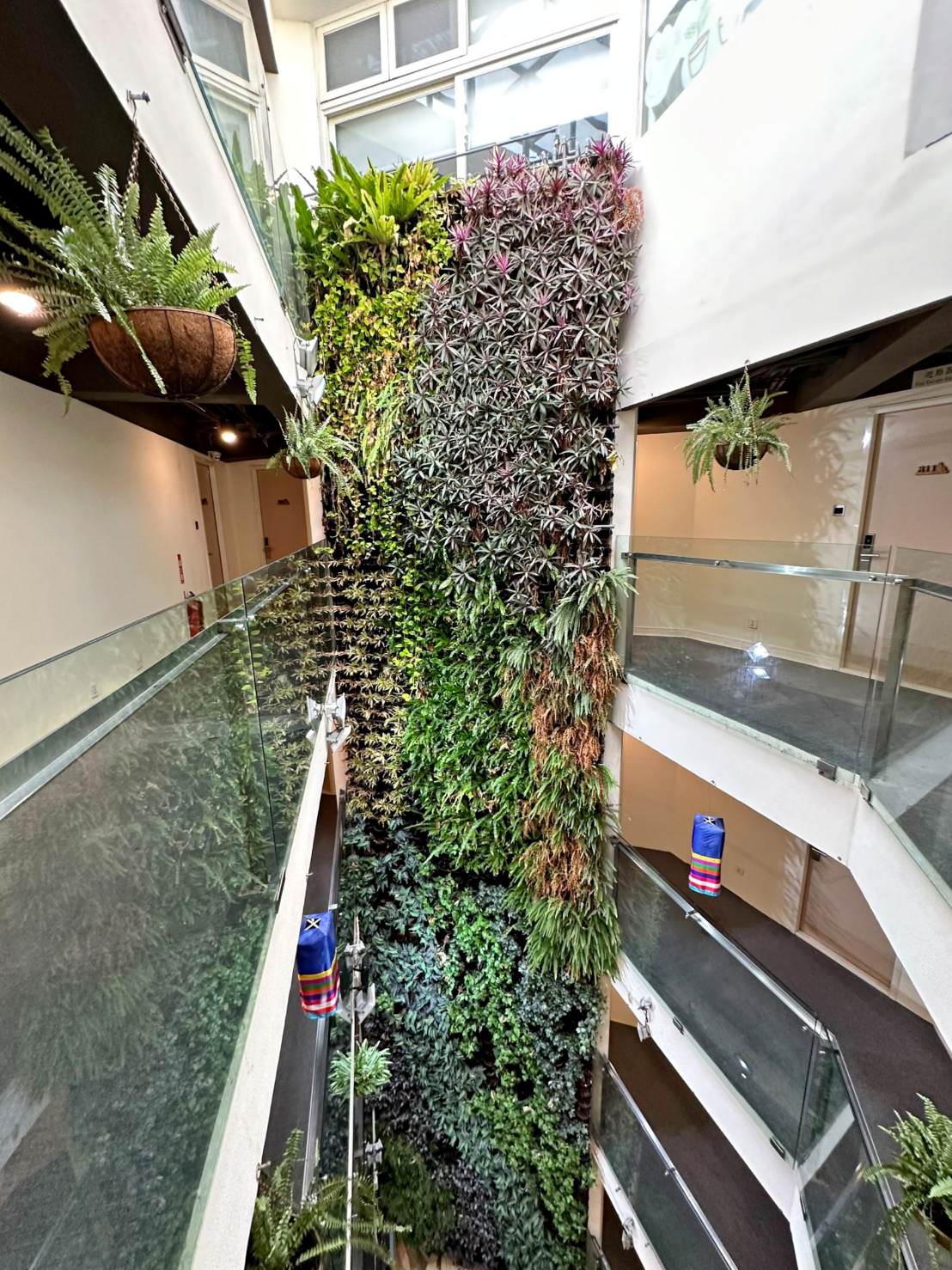 台中西屯區住宿推薦|台中逢甲住宿.葉綠宿旅館Green Hotel|室內就能享受採光、綠意與日光窗景,距離逢甲夜市步行不到5分鐘,吃喝玩樂生活機能方便之逢甲葉綠宿旅館入住心得分享! - 第51張圖 台中西屯區住宿推薦|台中逢甲住宿.葉綠宿旅館Green Hotel|室內就能享受採光、綠意與日光窗景,距離逢甲夜市步行不到5分鐘,吃喝玩樂生活機能方便之逢甲葉綠宿旅館入住心得分享!