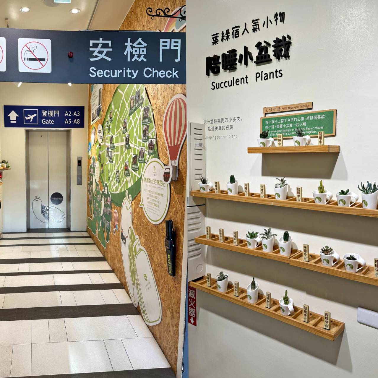 台中西屯區住宿推薦|台中逢甲住宿.葉綠宿旅館Green Hotel|室內就能享受採光、綠意與日光窗景,距離逢甲夜市步行不到5分鐘,吃喝玩樂生活機能方便之逢甲葉綠宿旅館入住心得分享! - 第26張圖 台中西屯區住宿推薦|台中逢甲住宿.葉綠宿旅館Green Hotel|室內就能享受採光、綠意與日光窗景,距離逢甲夜市步行不到5分鐘,吃喝玩樂生活機能方便之逢甲葉綠宿旅館入住心得分享!