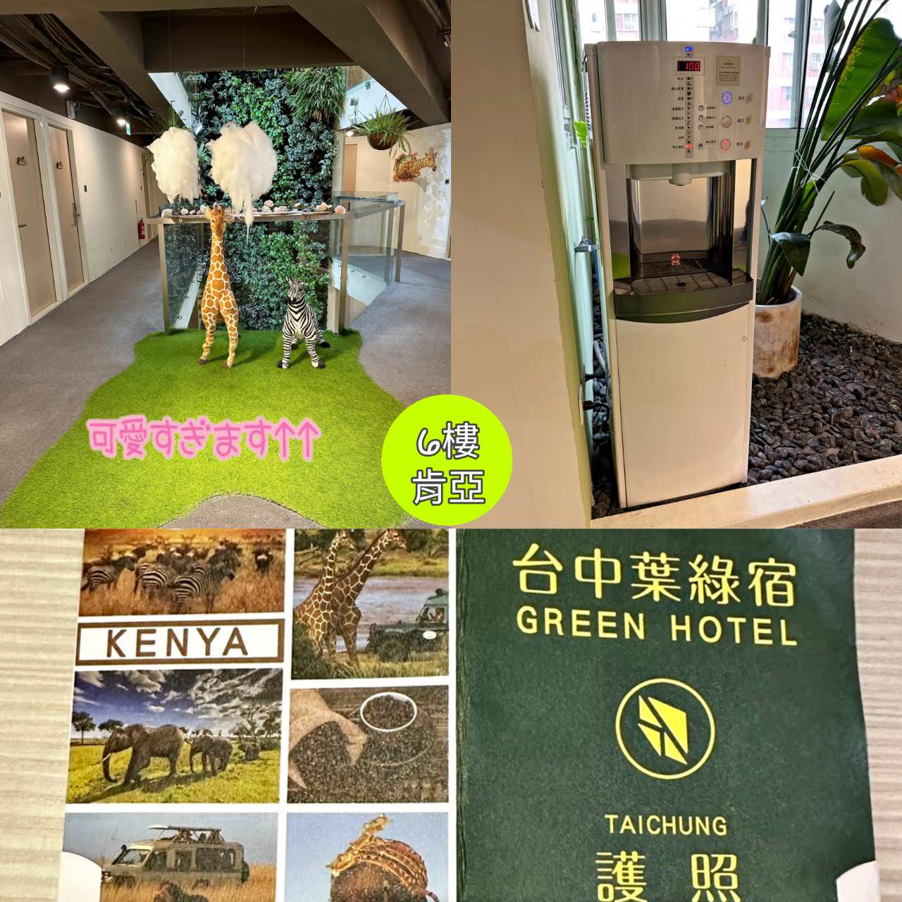台中西屯區住宿推薦|台中逢甲住宿.葉綠宿旅館Green Hotel|室內就能享受採光、綠意與日光窗景,距離逢甲夜市步行不到5分鐘,吃喝玩樂生活機能方便之逢甲葉綠宿旅館入住心得分享! - 第55張圖 台中西屯區住宿推薦|台中逢甲住宿.葉綠宿旅館Green Hotel|室內就能享受採光、綠意與日光窗景,距離逢甲夜市步行不到5分鐘,吃喝玩樂生活機能方便之逢甲葉綠宿旅館入住心得分享!