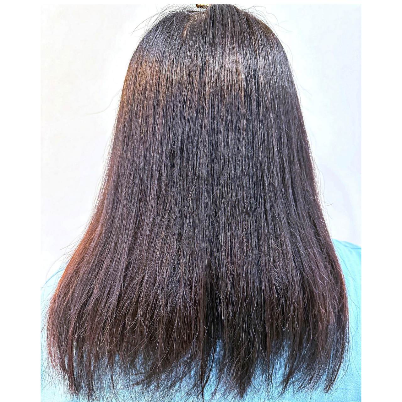 洗髮精團購(讀者官網優惠碼：𝗬𝗜𝗡𝗬𝗔𝗡)｜EBO阿波羅太陽花頭皮淨化洗髮精、妲芬妮月桂冠髮根修護洗髮精｜洗後賦予秀髮透亮光澤，髮絲散發自然仙女香氣之阿波羅與妲芬妮洗髮精開箱分享！