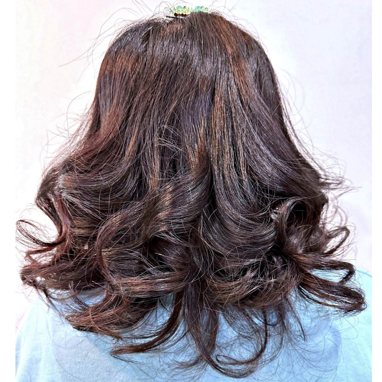 洗髮精團購(讀者官網優惠碼：𝗬𝗜𝗡𝗬𝗔𝗡)｜EBO阿波羅太陽花頭皮淨化洗髮精、妲芬妮月桂冠髮根修護洗髮精｜洗後賦予秀髮透亮光澤，髮絲散發自然仙女香氣之阿波羅與妲芬妮洗髮精開箱分享！