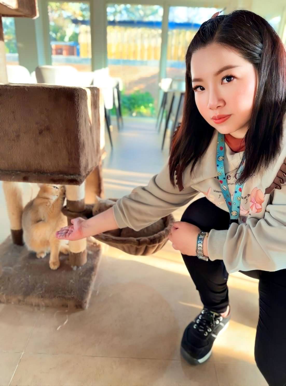 台中市大甲區露營推薦|踏親Touching露營區、寵物親子餐廳|來場說走就走的懶人露營,被貓貓環繞的親子寵物餐廳,近鐵砧山風景區享絕美夜景! - 第28張圖 台中市大甲區露營推薦|踏親Touching露營區、寵物親子餐廳|來場說走就走的懶人露營,被貓貓環繞的親子寵物餐廳,近鐵砧山風景區享絕美夜景!