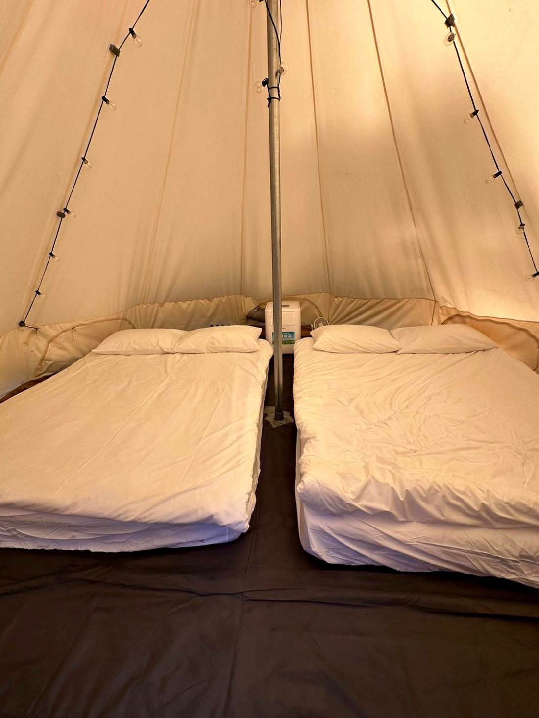 台中市大甲區露營推薦|踏親Touching露營區、寵物親子餐廳|來場說走就走的懶人露營,被貓貓環繞的親子寵物餐廳,近鐵砧山風景區享絕美夜景! - 第15張圖 台中市大甲區露營推薦|踏親Touching露營區、寵物親子餐廳|來場說走就走的懶人露營,被貓貓環繞的親子寵物餐廳,近鐵砧山風景區享絕美夜景!