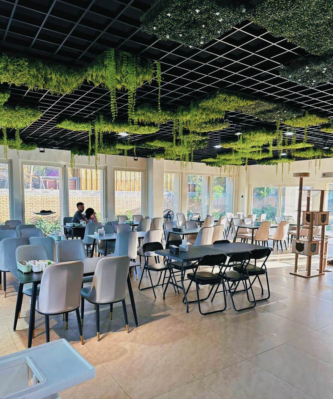 台中市大甲區露營推薦|踏親Touching露營區、寵物親子餐廳|來場說走就走的懶人露營,被貓貓環繞的親子寵物餐廳,近鐵砧山風景區享絕美夜景! - 第25張圖 台中市大甲區露營推薦|踏親Touching露營區、寵物親子餐廳|來場說走就走的懶人露營,被貓貓環繞的親子寵物餐廳,近鐵砧山風景區享絕美夜景!