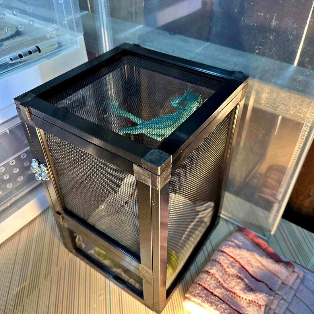 台中市大甲區露營推薦|踏親Touching露營區、寵物親子餐廳|來場說走就走的懶人露營,被貓貓環繞的親子寵物餐廳,近鐵砧山風景區享絕美夜景! - 第39張圖 台中市大甲區露營推薦|踏親Touching露營區、寵物親子餐廳|來場說走就走的懶人露營,被貓貓環繞的親子寵物餐廳,近鐵砧山風景區享絕美夜景!