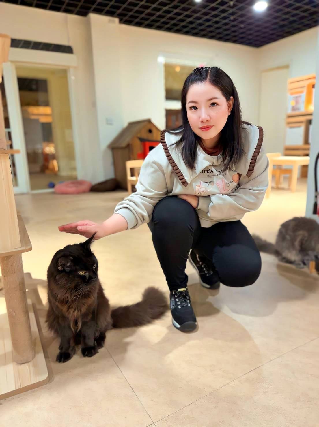 台中市大甲區露營推薦|踏親Touching露營區、寵物親子餐廳|來場說走就走的懶人露營,被貓貓環繞的親子寵物餐廳,近鐵砧山風景區享絕美夜景! - 第54張圖 台中市大甲區露營推薦|踏親Touching露營區、寵物親子餐廳|來場說走就走的懶人露營,被貓貓環繞的親子寵物餐廳,近鐵砧山風景區享絕美夜景!