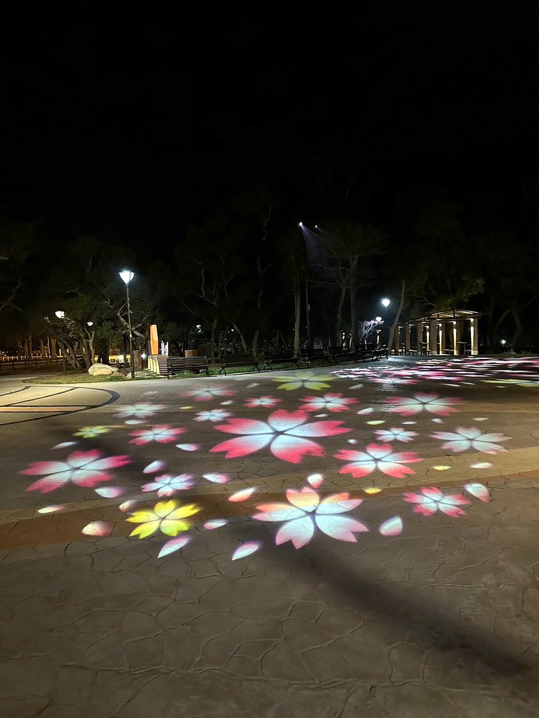 台中市大甲區露營推薦|踏親Touching露營區、寵物親子餐廳|來場說走就走的懶人露營,被貓貓環繞的親子寵物餐廳,近鐵砧山風景區享絕美夜景! - 第49張圖 台中市大甲區露營推薦|踏親Touching露營區、寵物親子餐廳|來場說走就走的懶人露營,被貓貓環繞的親子寵物餐廳,近鐵砧山風景區享絕美夜景!