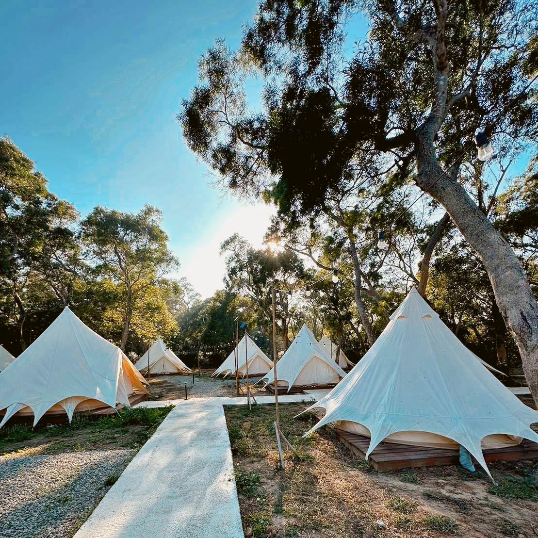 台中市大甲區露營推薦|踏親Touching露營區、寵物親子餐廳|來場說走就走的懶人露營,被貓貓環繞的親子寵物餐廳,近鐵砧山風景區享絕美夜景! - 第8張圖 台中市大甲區露營推薦|踏親Touching露營區、寵物親子餐廳|來場說走就走的懶人露營,被貓貓環繞的親子寵物餐廳,近鐵砧山風景區享絕美夜景!