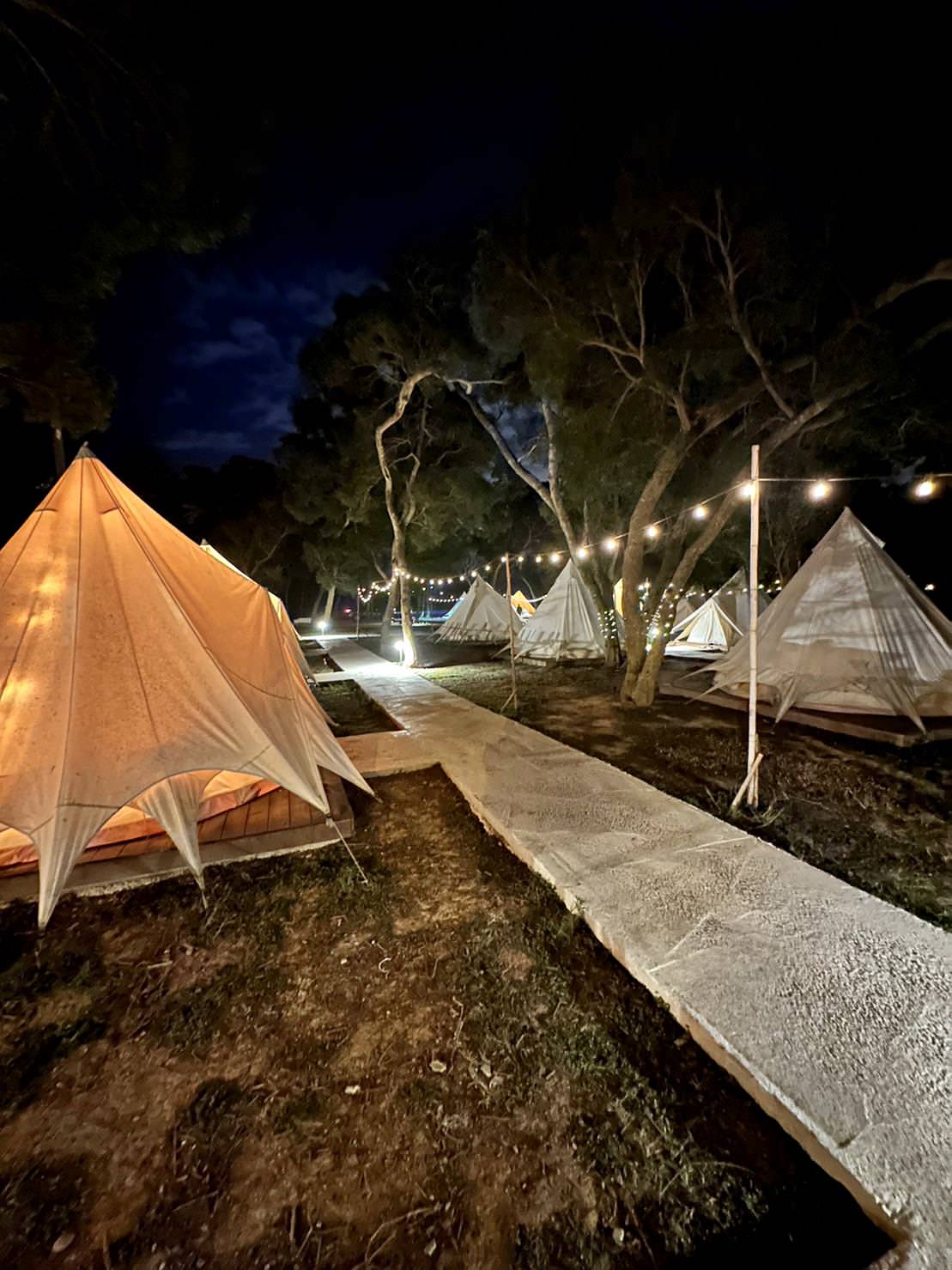 台中市大甲區露營推薦|踏親Touching露營區、寵物親子餐廳|來場說走就走的懶人露營,被貓貓環繞的親子寵物餐廳,近鐵砧山風景區享絕美夜景! - 第44張圖 台中市大甲區露營推薦|踏親Touching露營區、寵物親子餐廳|來場說走就走的懶人露營,被貓貓環繞的親子寵物餐廳,近鐵砧山風景區享絕美夜景!