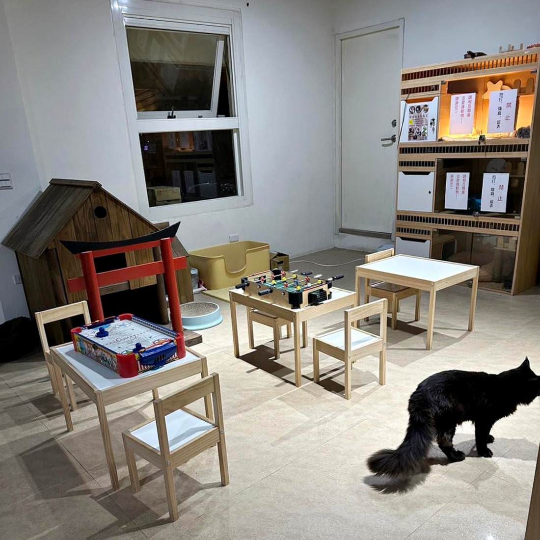 台中市大甲區露營推薦|踏親Touching露營區、寵物親子餐廳|來場說走就走的懶人露營,被貓貓環繞的親子寵物餐廳,近鐵砧山風景區享絕美夜景! - 第36張圖 台中市大甲區露營推薦|踏親Touching露營區、寵物親子餐廳|來場說走就走的懶人露營,被貓貓環繞的親子寵物餐廳,近鐵砧山風景區享絕美夜景!