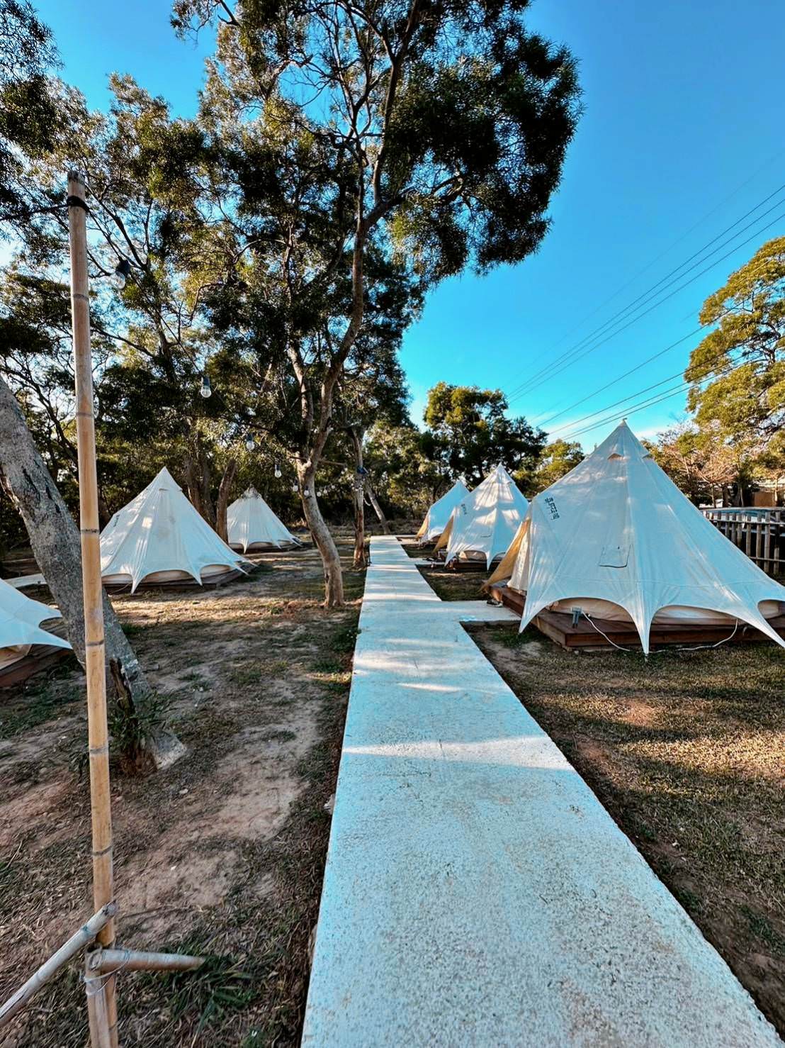 台中市大甲區露營推薦|踏親Touching露營區、寵物親子餐廳|來場說走就走的懶人露營,被貓貓環繞的親子寵物餐廳,近鐵砧山風景區享絕美夜景! - 第43張圖 台中市大甲區露營推薦|踏親Touching露營區、寵物親子餐廳|來場說走就走的懶人露營,被貓貓環繞的親子寵物餐廳,近鐵砧山風景區享絕美夜景!