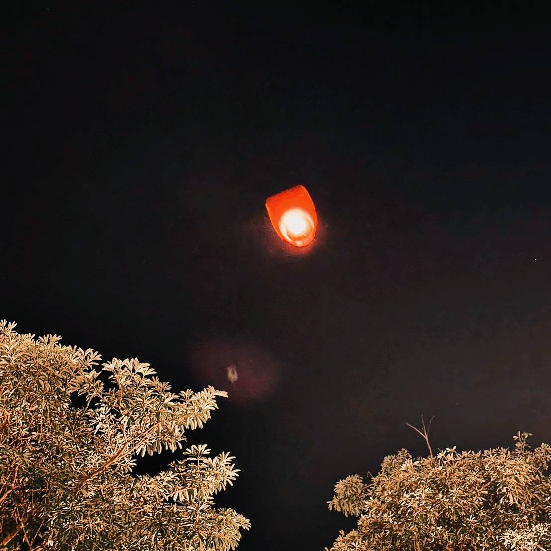 嘉義縣中埔鄉親子住宿推薦|詩情夢幻城堡民宿|離嘉義市僅20分鐘車程,圓公主王子夢,遠離都市塵囂,體驗不同凡響的親子主題旅店入住心得分享! - 第42張圖 嘉義縣中埔鄉親子住宿推薦|詩情夢幻城堡民宿|離嘉義市僅20分鐘車程,圓公主王子夢,遠離都市塵囂,體驗不同凡響的親子主題旅店入住心得分享!