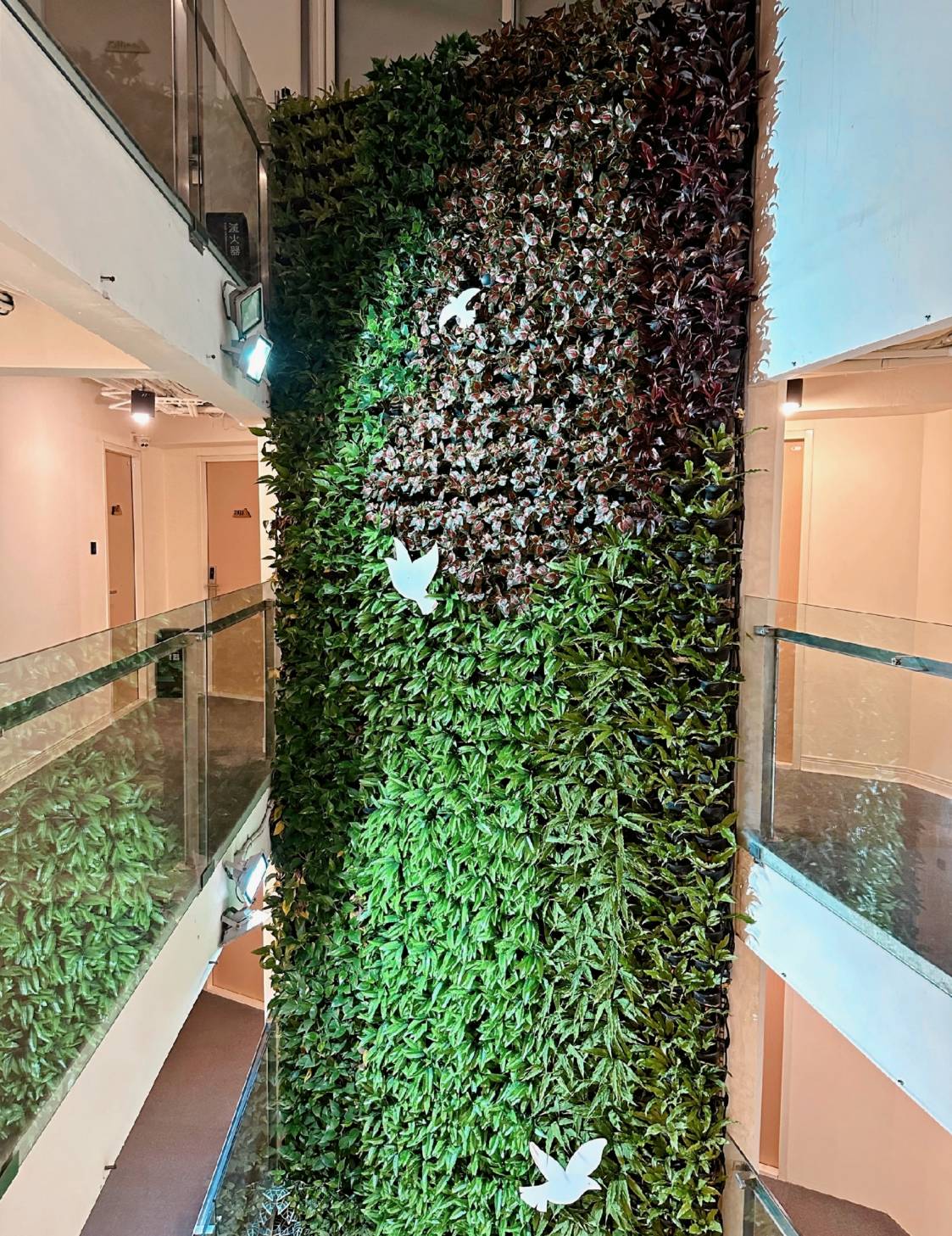 台中西屯區住宿推薦｜台中逢甲住宿．葉綠宿旅館Green Hotel｜二訪入住精緻雙人客房，有對外窗採光充足，公共空間綠意共鳴，距離逢甲夜市步行不到5分鐘，吃喝玩樂生活機能方便之逢甲葉綠宿旅館入住心得分享！