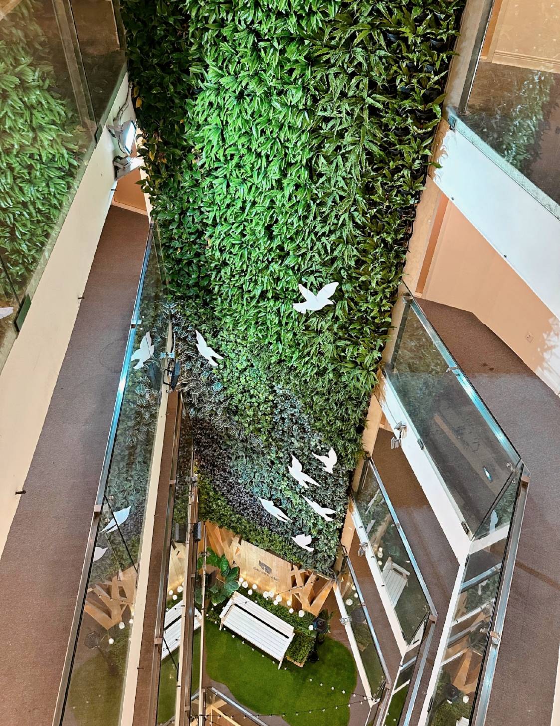 台中西屯區住宿推薦｜台中逢甲住宿．葉綠宿旅館Green Hotel｜二訪入住精緻雙人客房，有對外窗採光充足，公共空間綠意共鳴，距離逢甲夜市步行不到5分鐘，吃喝玩樂生活機能方便之逢甲葉綠宿旅館入住心得分享！