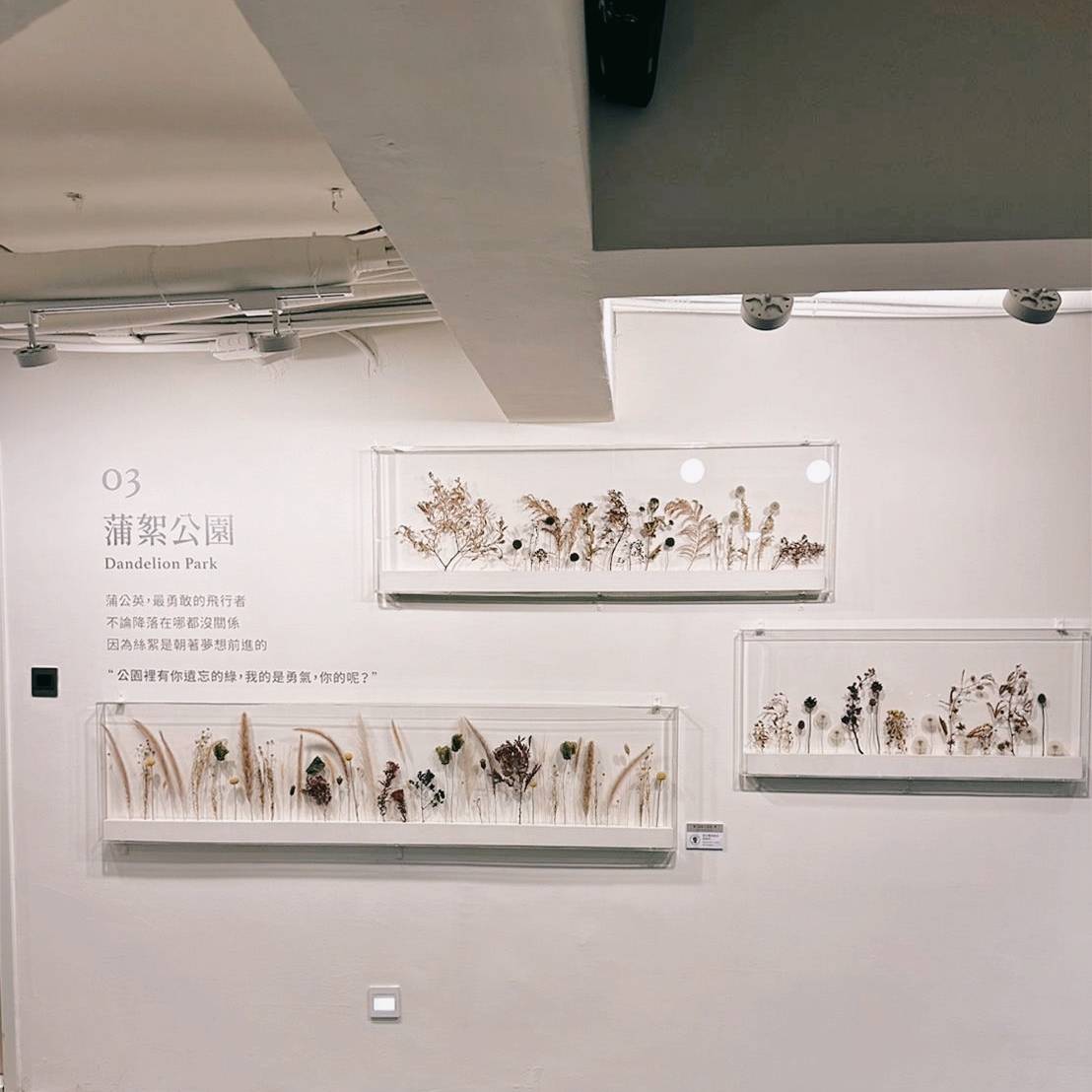 台中西屯區住宿推薦｜台中逢甲住宿．葉綠宿旅館Green Hotel｜二訪入住精緻雙人客房，有對外窗採光充足，公共空間綠意共鳴，距離逢甲夜市步行不到5分鐘，吃喝玩樂生活機能方便之逢甲葉綠宿旅館入住心得分享！