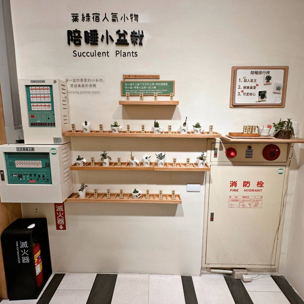 台中西屯區住宿推薦｜台中逢甲住宿．葉綠宿旅館Green Hotel｜二訪入住精緻雙人客房，有對外窗採光充足，公共空間綠意共鳴，距離逢甲夜市步行不到5分鐘，吃喝玩樂生活機能方便之逢甲葉綠宿旅館入住心得分享！