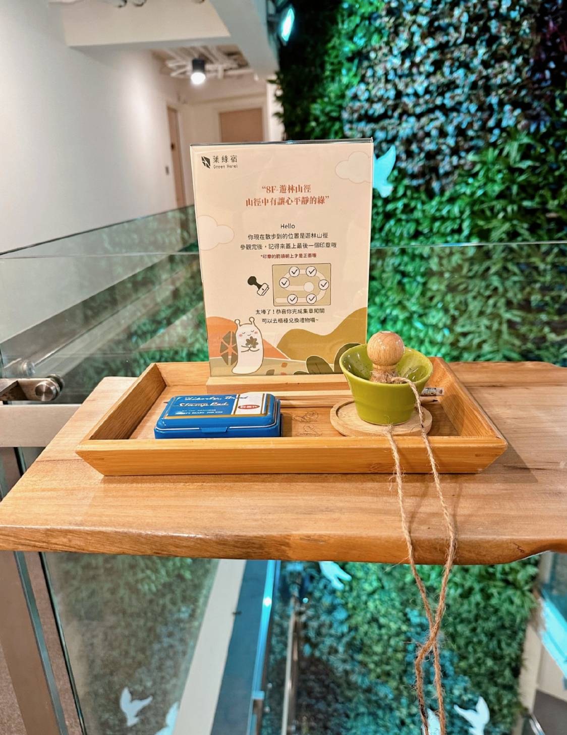 台中西屯區住宿推薦｜台中逢甲住宿．葉綠宿旅館Green Hotel｜二訪入住精緻雙人客房，有對外窗採光充足，公共空間綠意共鳴，距離逢甲夜市步行不到5分鐘，吃喝玩樂生活機能方便之逢甲葉綠宿旅館入住心得分享！