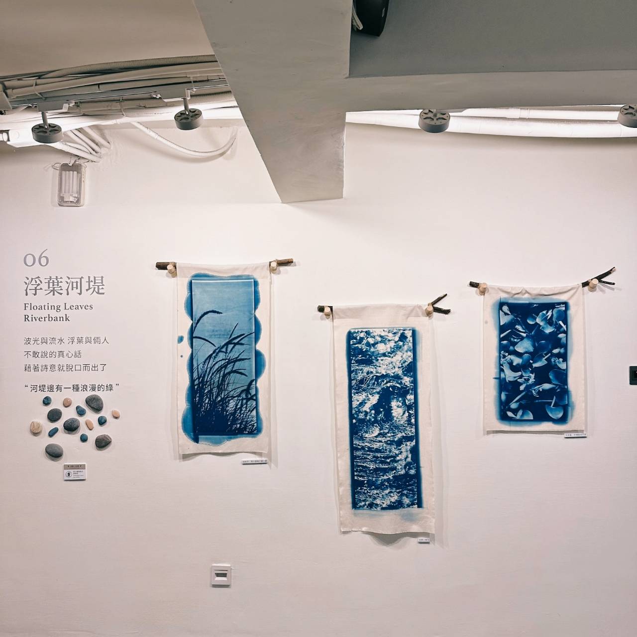 台中西屯區住宿推薦｜台中逢甲住宿．葉綠宿旅館Green Hotel｜二訪入住精緻雙人客房，有對外窗採光充足，公共空間綠意共鳴，距離逢甲夜市步行不到5分鐘，吃喝玩樂生活機能方便之逢甲葉綠宿旅館入住心得分享！