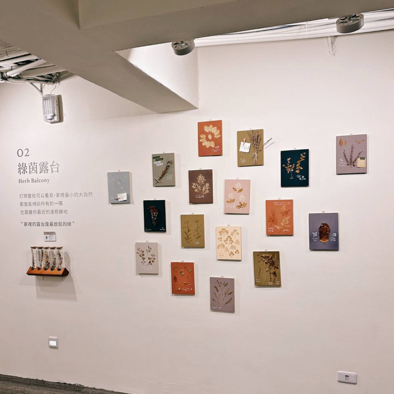 台中西屯區住宿推薦｜台中逢甲住宿．葉綠宿旅館Green Hotel｜二訪入住精緻雙人客房，有對外窗採光充足，公共空間綠意共鳴，距離逢甲夜市步行不到5分鐘，吃喝玩樂生活機能方便之逢甲葉綠宿旅館入住心得分享！