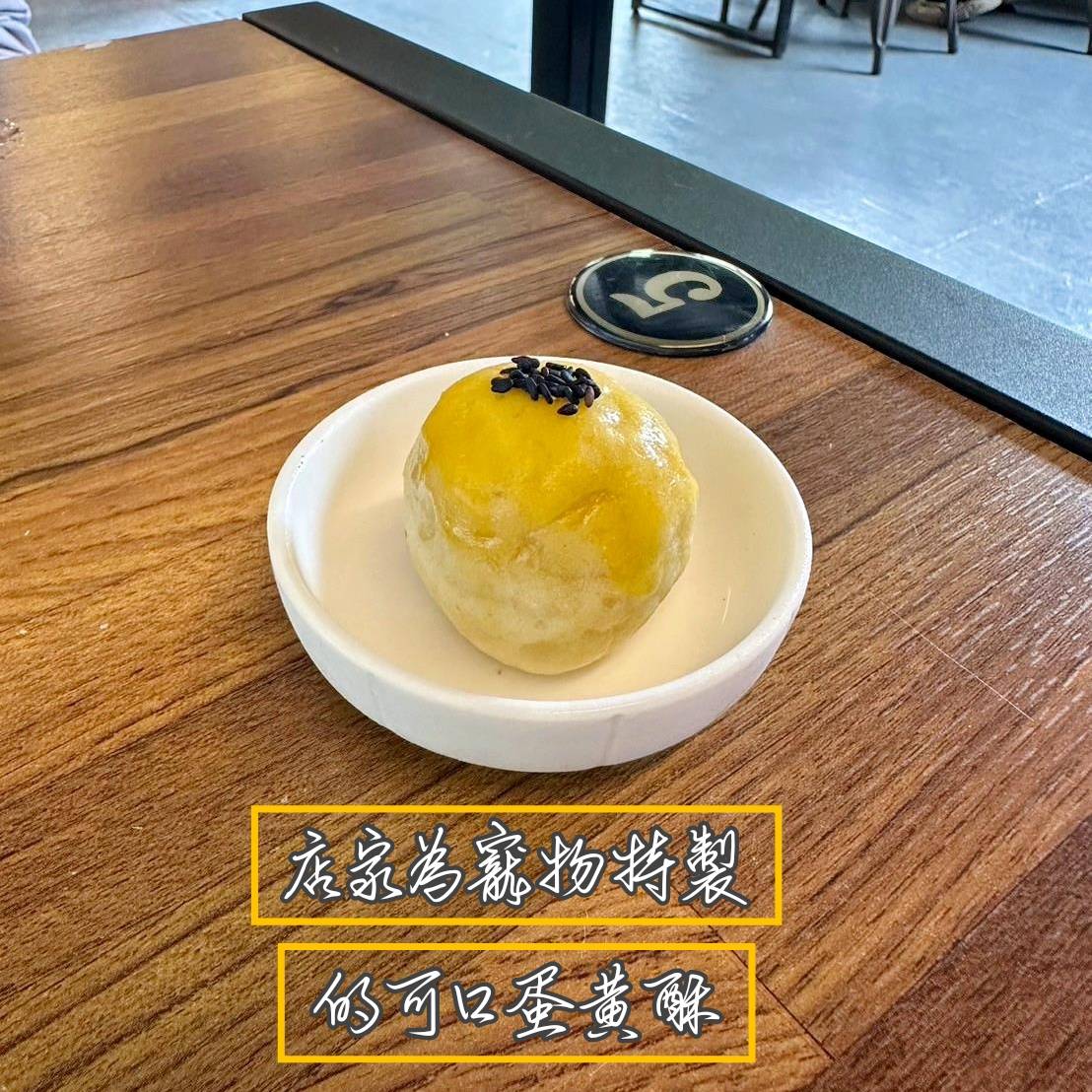 台中寵物聚會包場推薦｜台中市南屯區動物空間Animal Space寵物友善餐廳｜毛孩專屬戲水泳池、大片草皮開心奔跑、精緻美味輕食餐點，帶著毛小孩一起來玩樂！