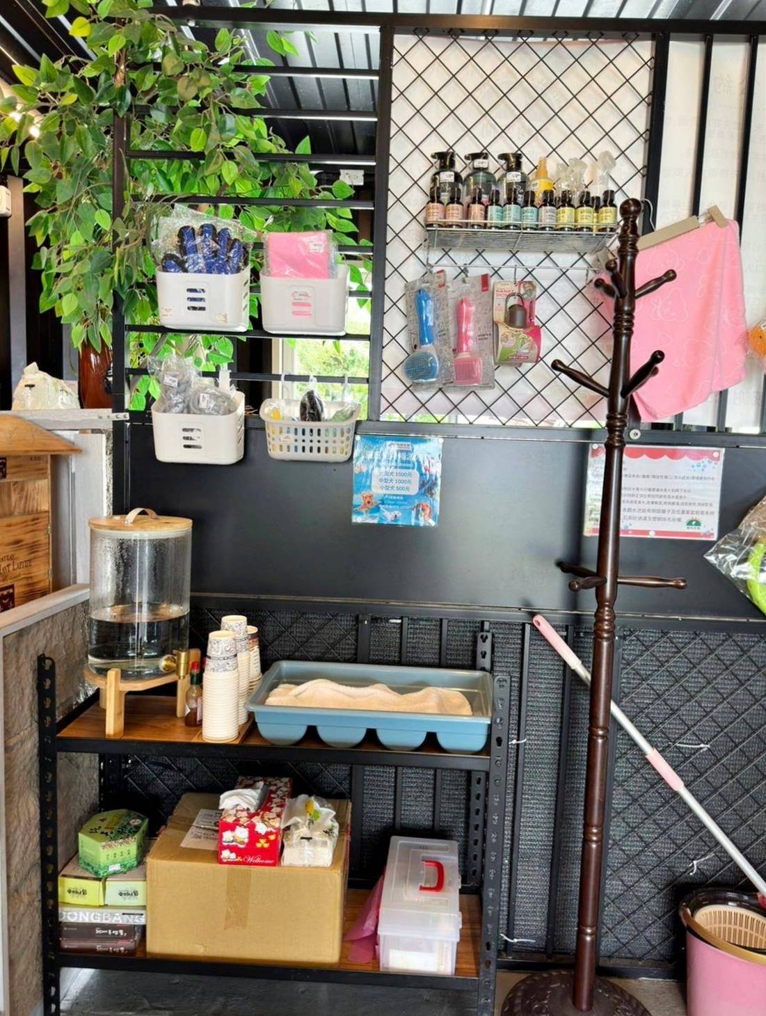 台中寵物聚會包場推薦｜台中市南屯區動物空間Animal Space寵物友善餐廳｜毛孩專屬戲水泳池、大片草皮開心奔跑、精緻美味輕食餐點，帶著毛小孩一起來玩樂！