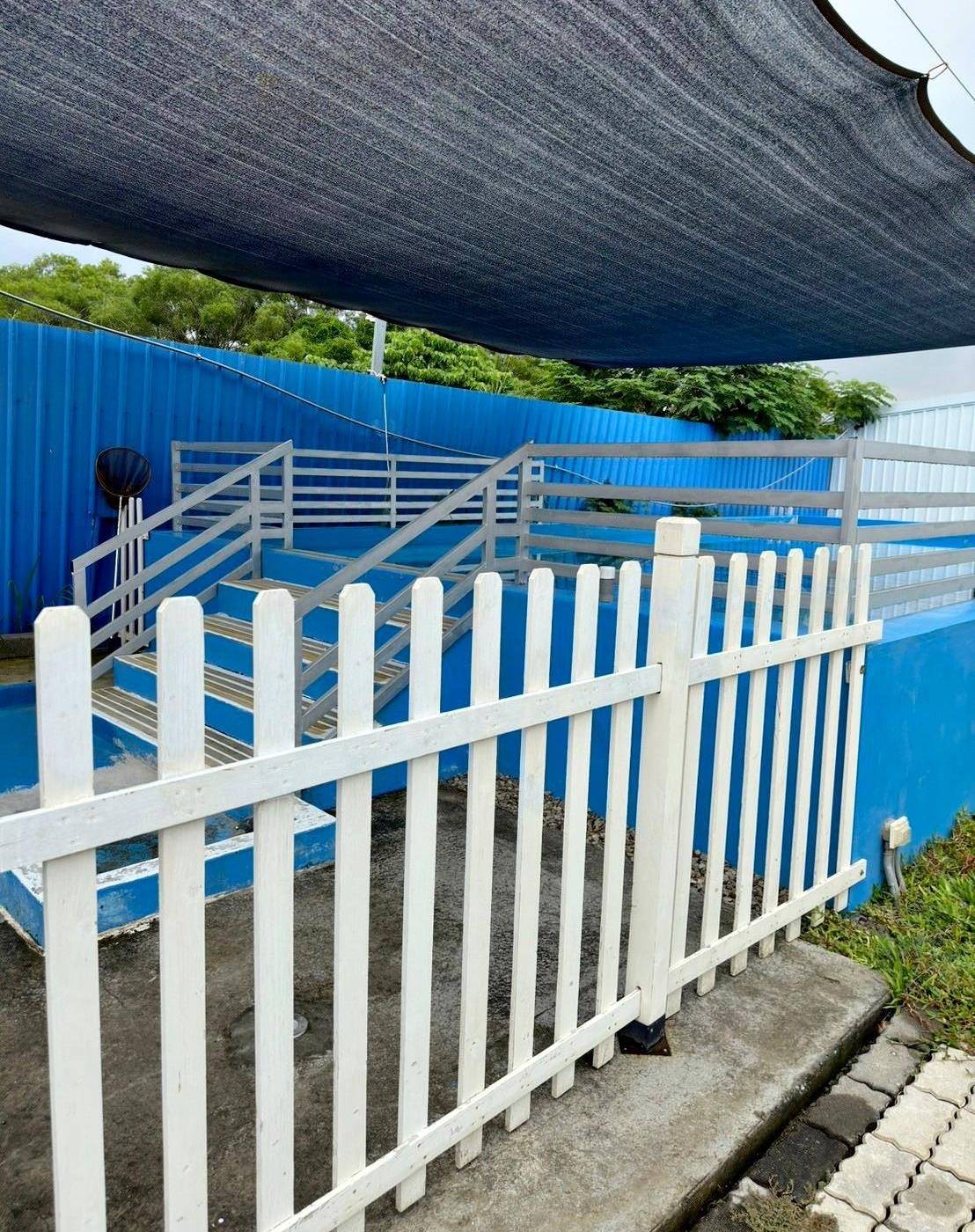 台中寵物聚會包場推薦｜台中市南屯區動物空間Animal Space寵物友善餐廳｜毛孩專屬戲水泳池、大片草皮開心奔跑、精緻美味輕食餐點，帶著毛小孩一起來玩樂！