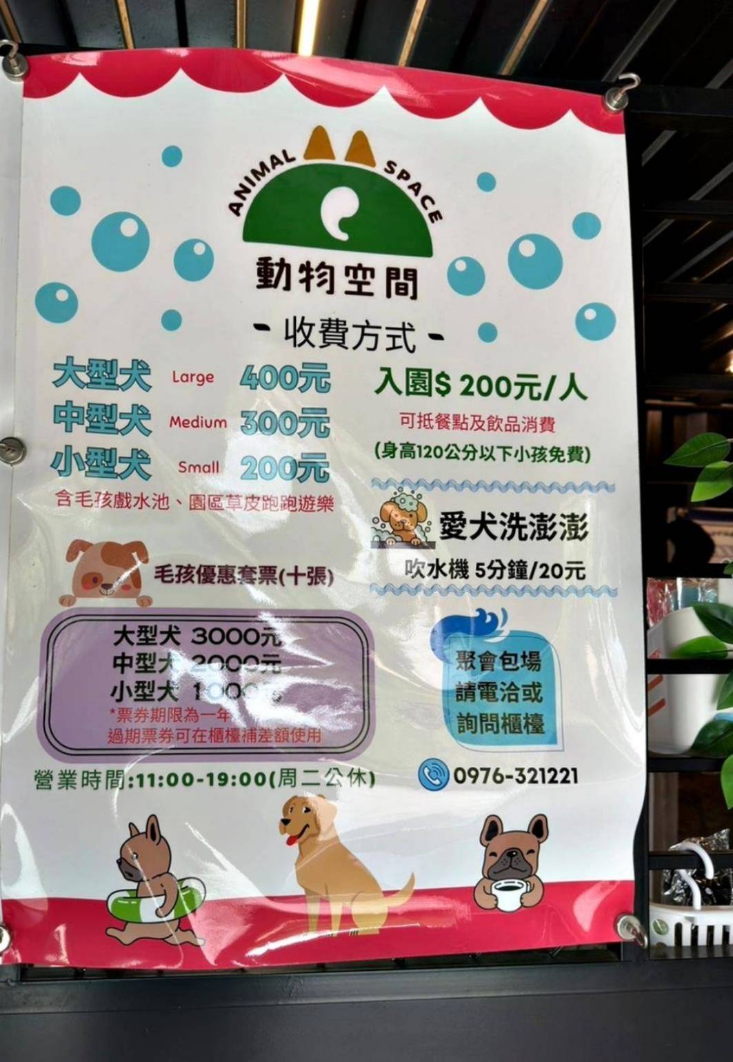 台中寵物聚會包場推薦｜台中市南屯區動物空間Animal Space寵物友善餐廳｜毛孩專屬戲水泳池、大片草皮開心奔跑、精緻美味輕食餐點，帶著毛小孩一起來玩樂！