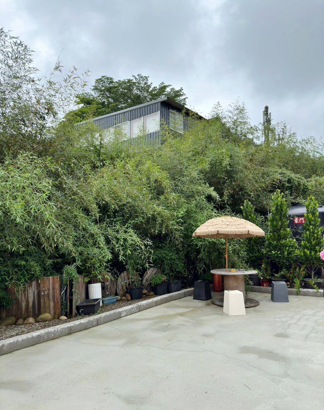 台中寵物聚會包場推薦｜台中市南屯區動物空間Animal Space寵物友善餐廳｜毛孩專屬戲水泳池、大片草皮開心奔跑、精緻美味輕食餐點，帶著毛小孩一起來玩樂！