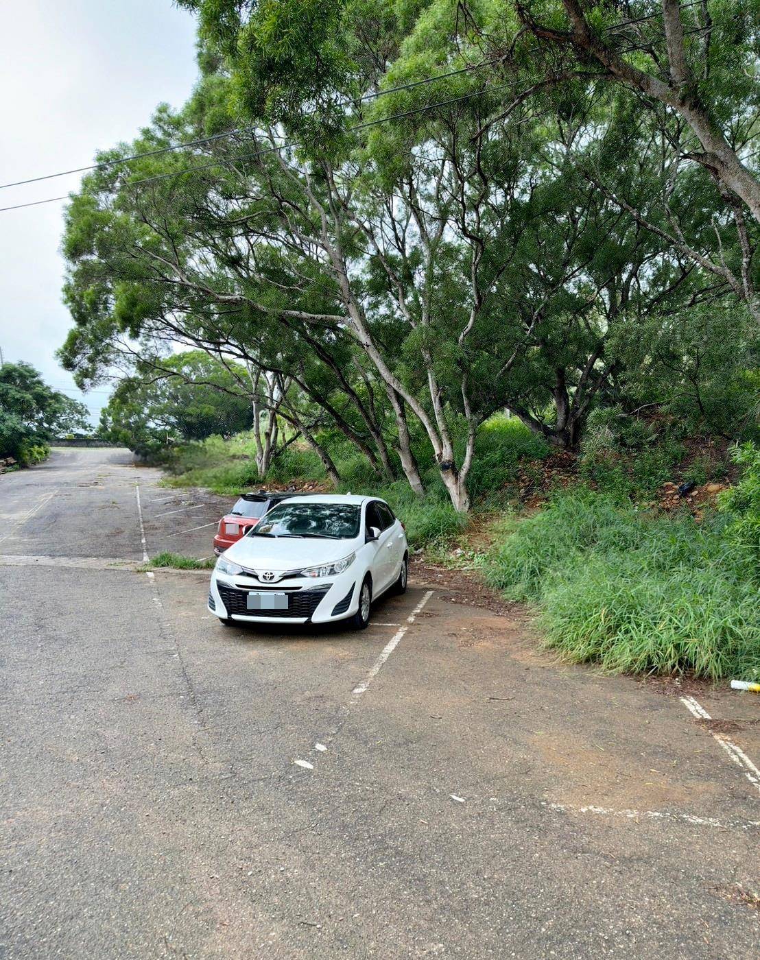 台中寵物聚會包場推薦｜台中市南屯區動物空間Animal Space寵物友善餐廳｜毛孩專屬戲水泳池、大片草皮開心奔跑、精緻美味輕食餐點，帶著毛小孩一起來玩樂！