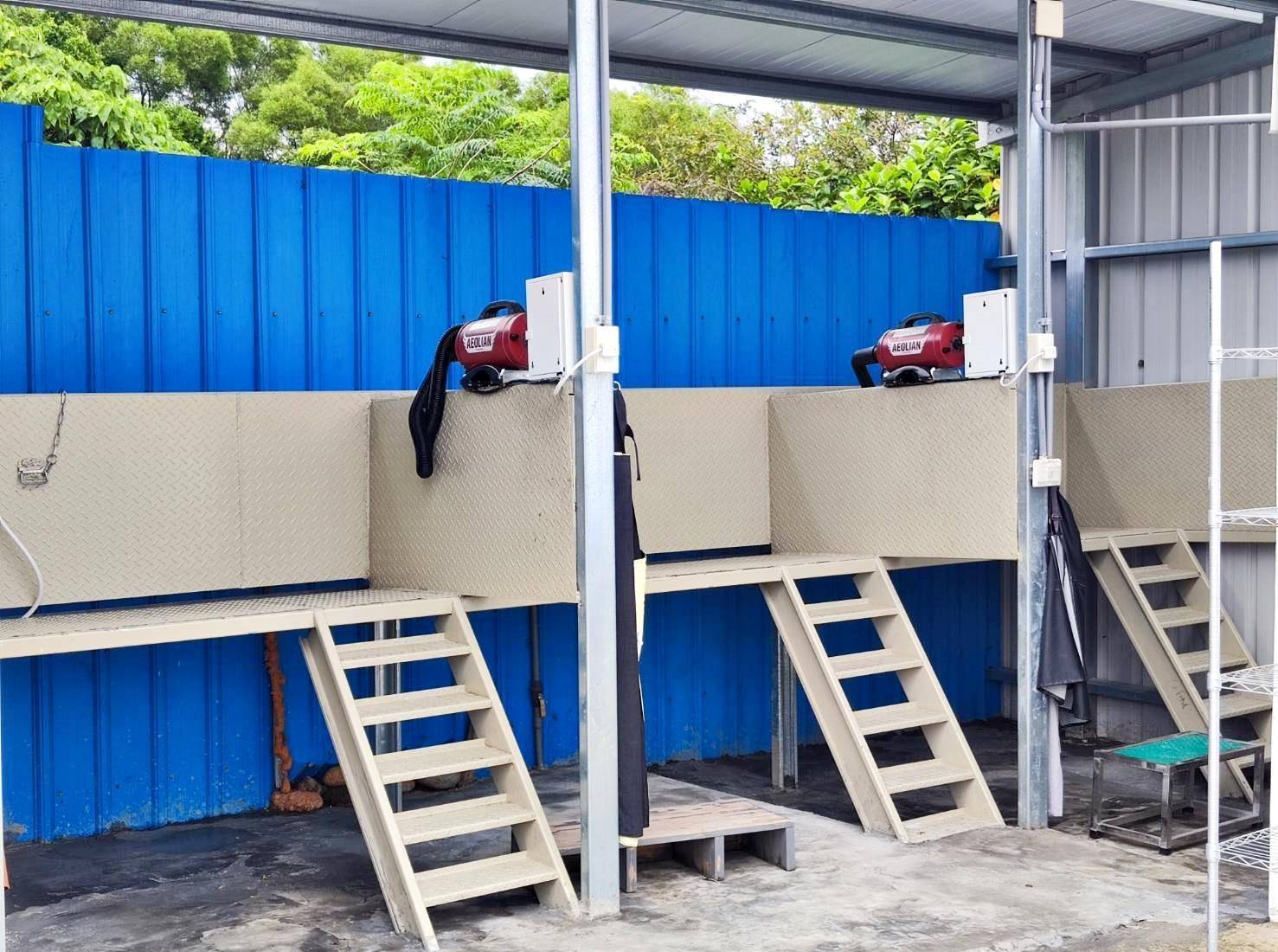 台中寵物聚會包場推薦｜台中市南屯區動物空間Animal Space寵物友善餐廳｜毛孩專屬戲水泳池、大片草皮開心奔跑、精緻美味輕食餐點，帶著毛小孩一起來玩樂！