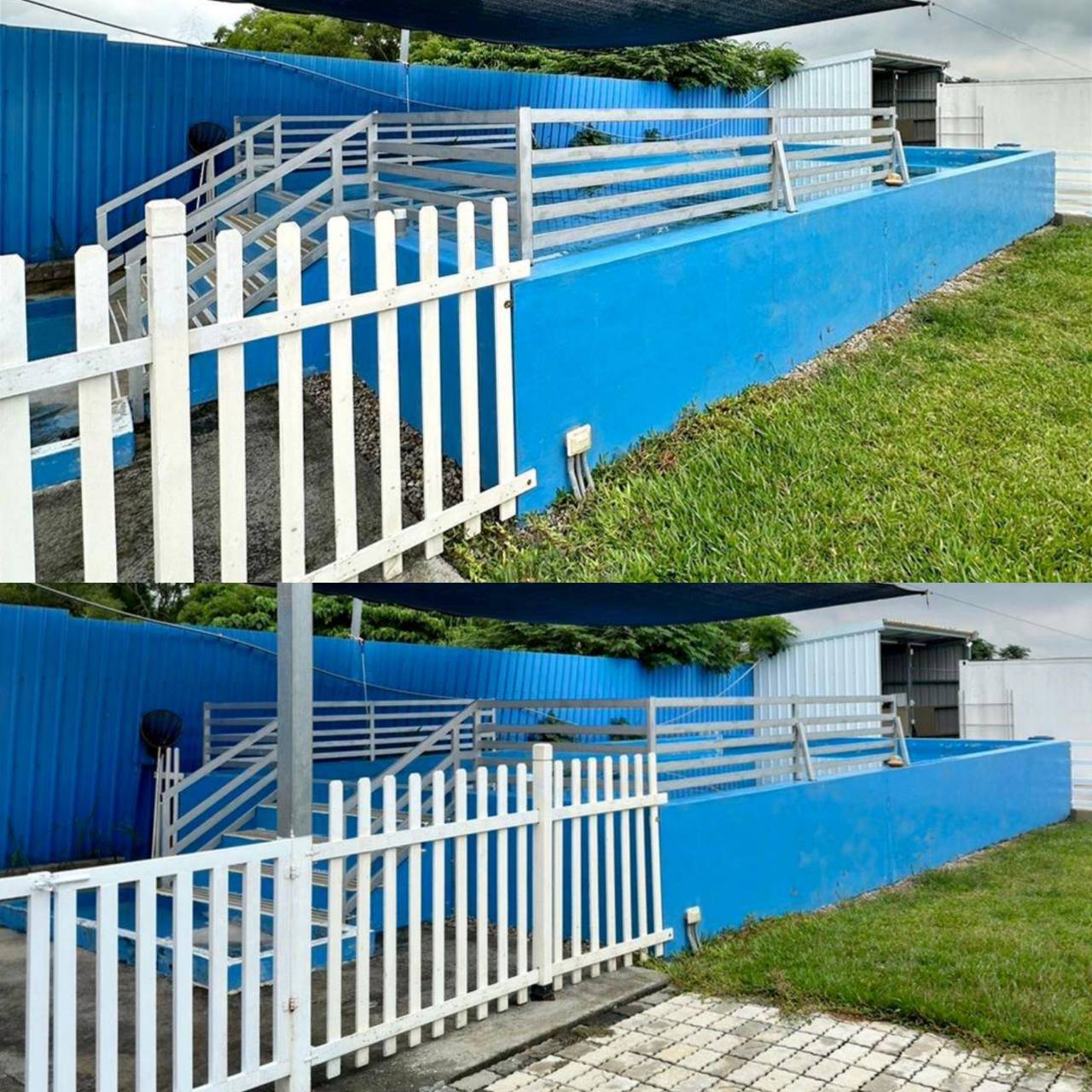 台中寵物聚會包場推薦｜台中市南屯區動物空間Animal Space寵物友善餐廳｜毛孩專屬戲水泳池、大片草皮開心奔跑、精緻美味輕食餐點，帶著毛小孩一起來玩樂！