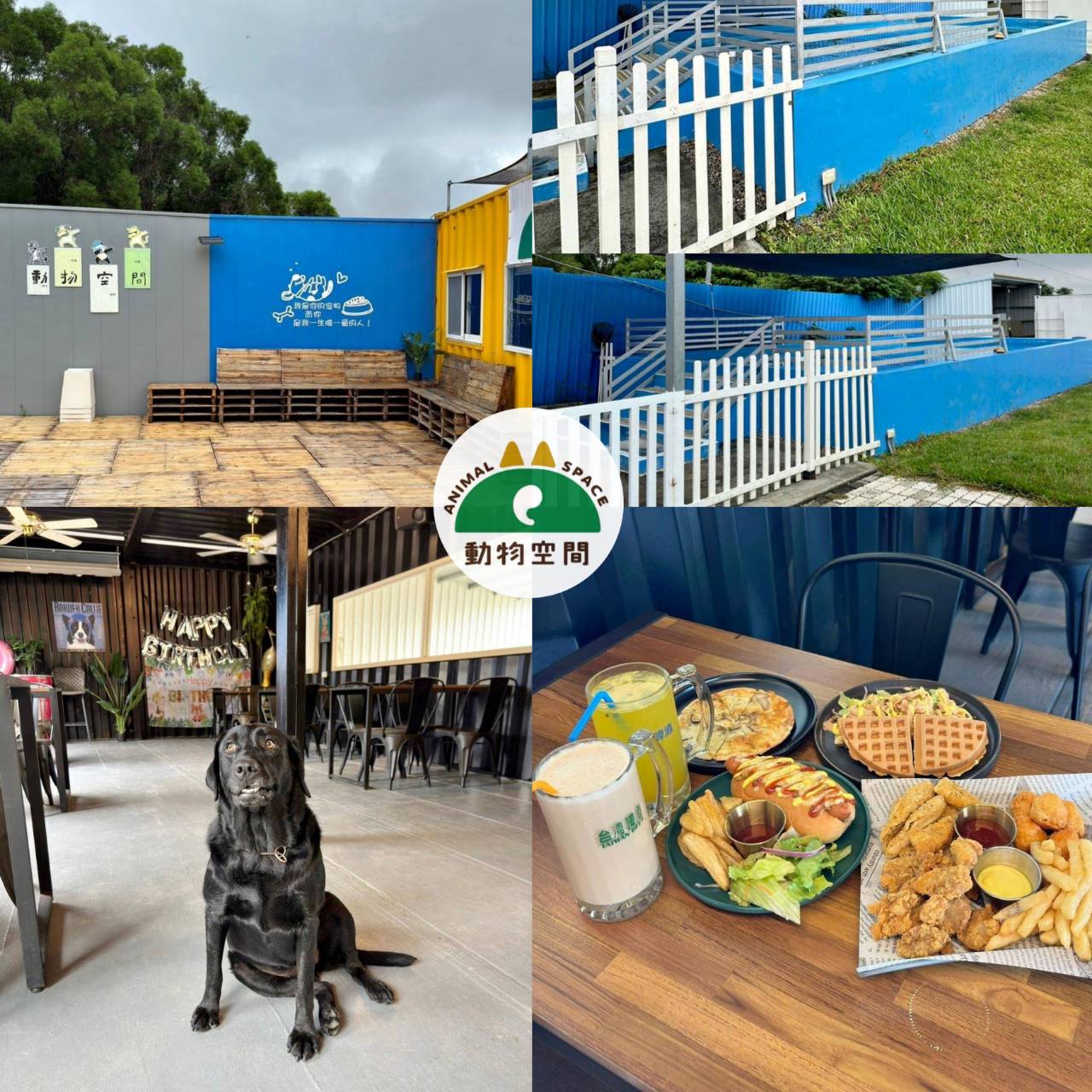台中寵物聚會包場推薦｜台中市南屯區動物空間Animal Space寵物友善餐廳｜毛孩專屬戲水泳池、大片草皮開心奔跑、精緻美味輕食餐點，帶著毛小孩一起來玩樂！