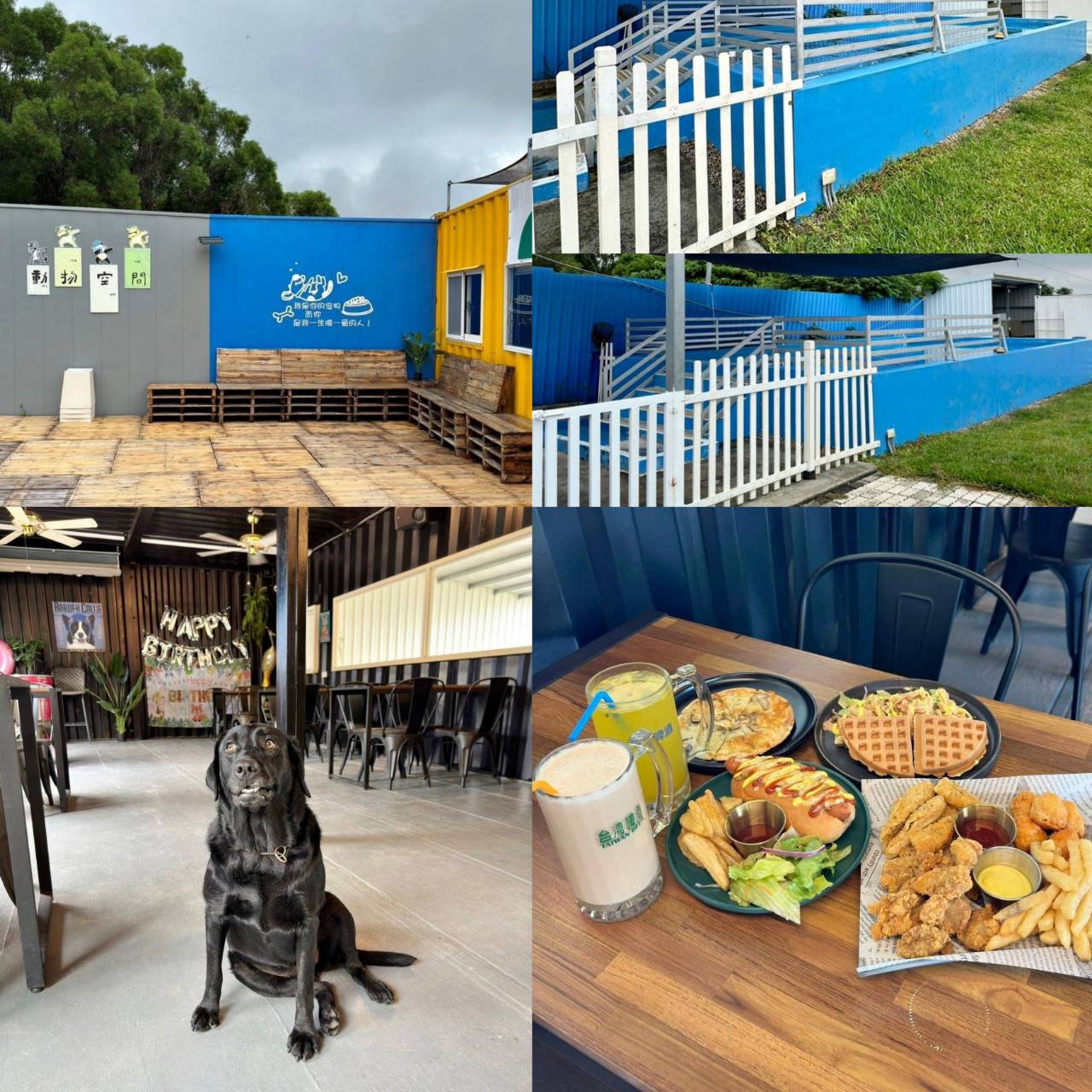 台中寵物聚會包場推薦｜台中市南屯區動物空間Animal Space寵物友善餐廳｜毛孩專屬戲水泳池、大片草皮開心奔跑、精緻美味輕食餐點，帶著毛小孩一起來玩樂！