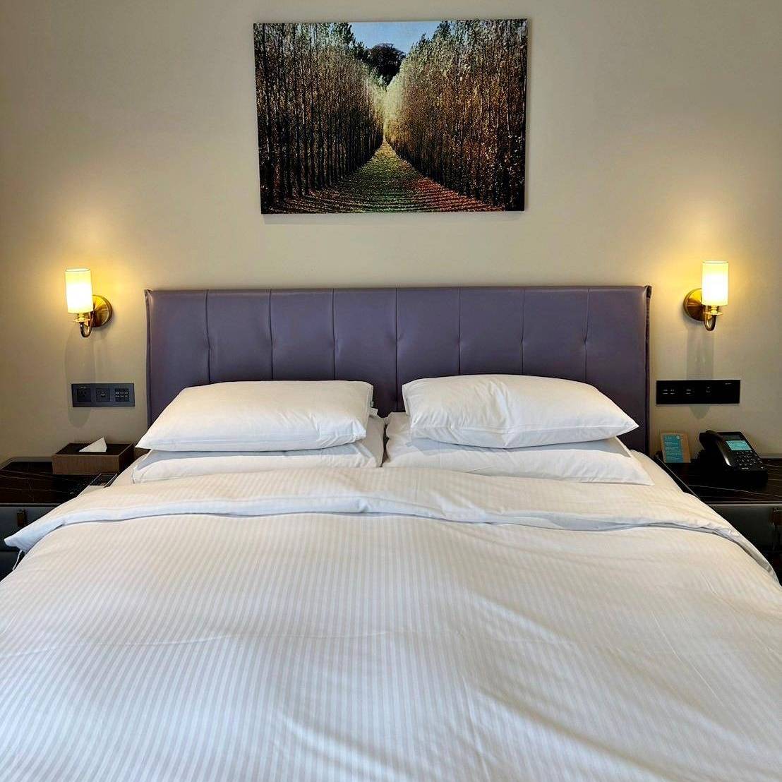 南投縣水里鄉住宿推薦｜福容徠旅水里店｜福容大飯店創建的輕旅品牌，坐擁山林裡的藝術旅店，遠離塵囂四周山林環繞之福容徠旅水里店開箱分享！