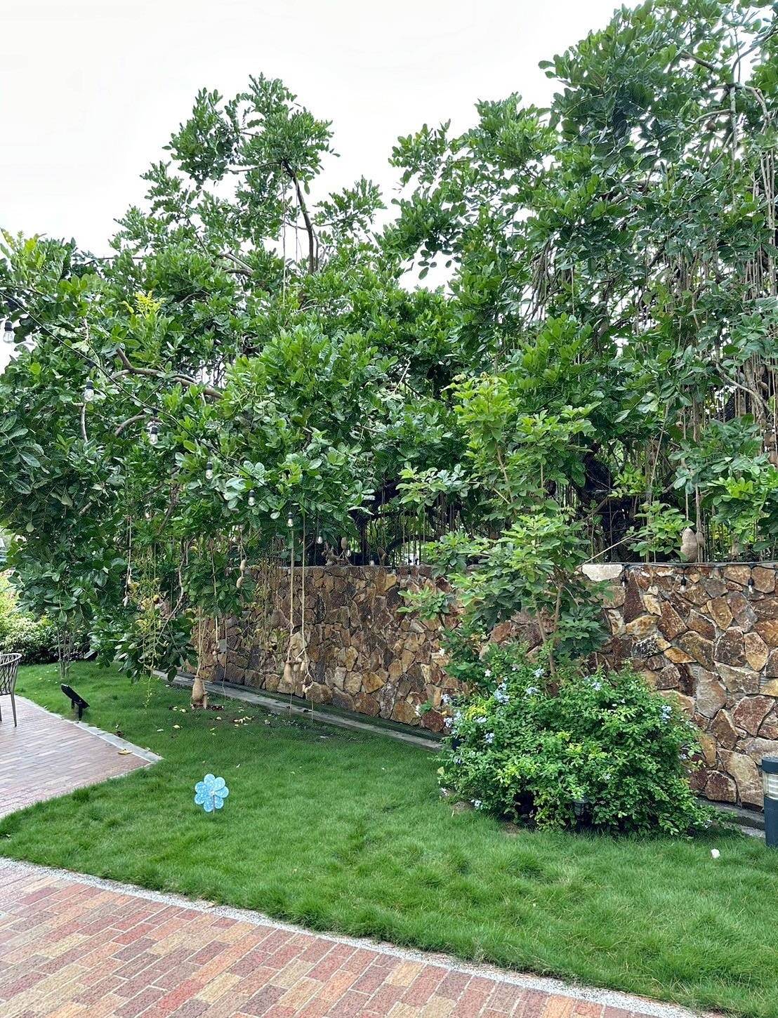 南投縣水里鄉住宿推薦｜福容徠旅水里店｜福容大飯店創建的輕旅品牌，坐擁山林裡的藝術旅店，遠離塵囂四周山林環繞之福容徠旅水里店開箱分享！