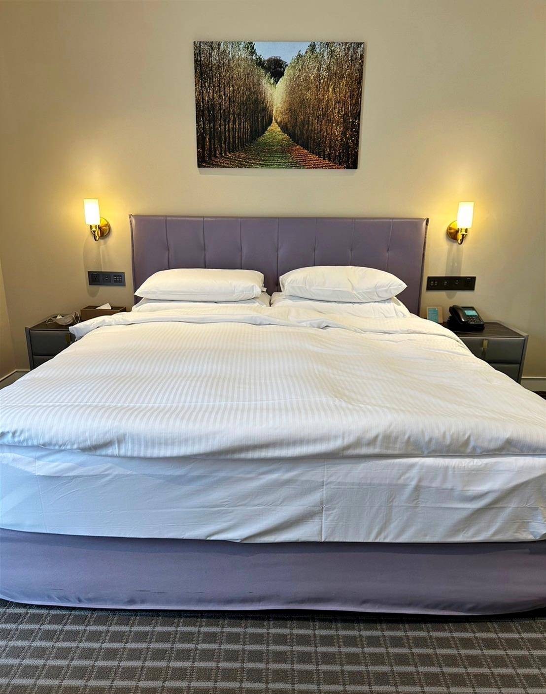 南投縣水里鄉住宿推薦｜福容徠旅水里店｜福容大飯店創建的輕旅品牌，坐擁山林裡的藝術旅店，遠離塵囂四周山林環繞之福容徠旅水里店開箱分享！