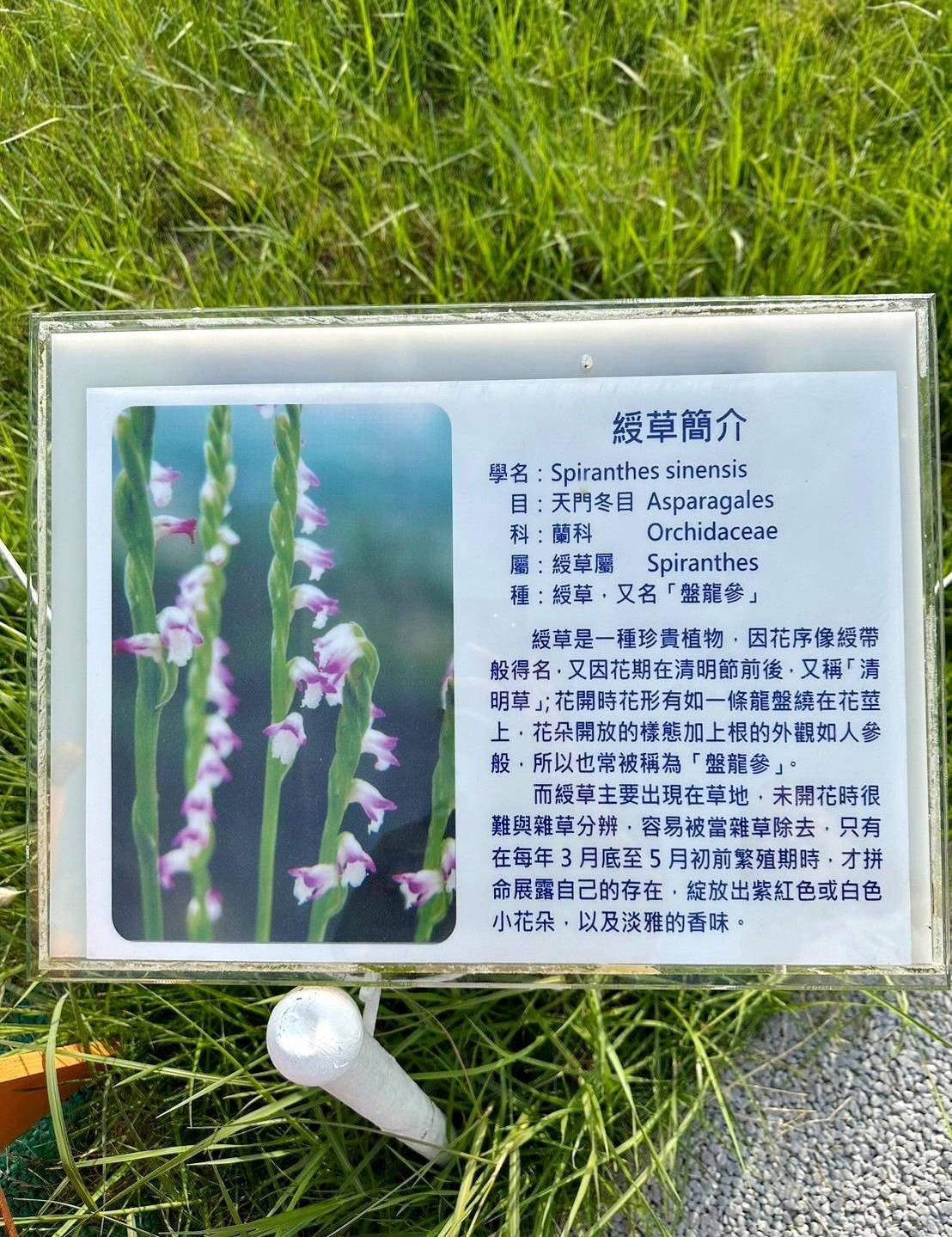 台中清水區住宿推薦|高美燈塔園區|全台唯一可泊宿燈塔園區民宿,登塔可眺望高美濕地全景之高美燈塔園區入住心得分享! - 第79張圖 台中清水區住宿推薦|高美燈塔園區|全台唯一可泊宿燈塔園區民宿,登塔可眺望高美濕地全景之高美燈塔園區入住心得分享!