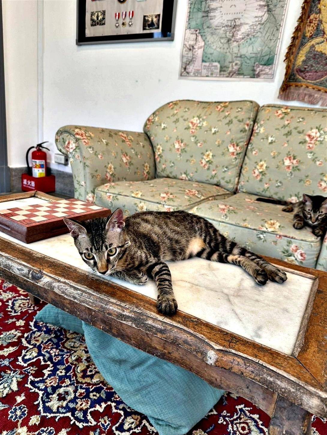 台中清水區住宿推薦|高美燈塔園區|全台唯一可泊宿燈塔園區民宿,登塔可眺望高美濕地全景之高美燈塔園區入住心得分享! - 第50張圖 台中清水區住宿推薦|高美燈塔園區|全台唯一可泊宿燈塔園區民宿,登塔可眺望高美濕地全景之高美燈塔園區入住心得分享!