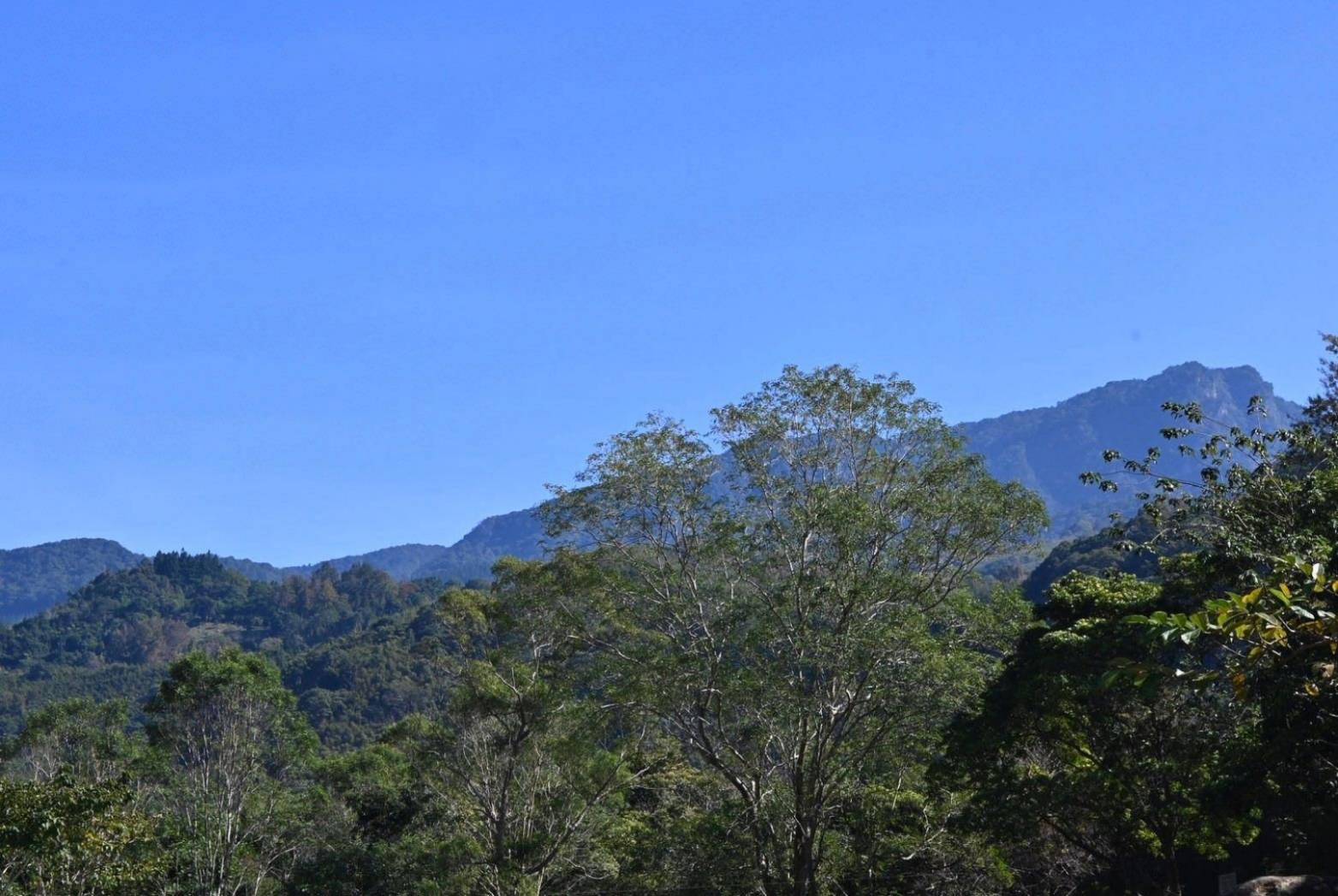 新竹縣尖石鄉露營推薦｜瀾音悠悠 Lanvillage｜夜宿尊爵太空艙，綠蔭扶疏風景宜人，適合各年齡層之懶人露營入住心得分享！