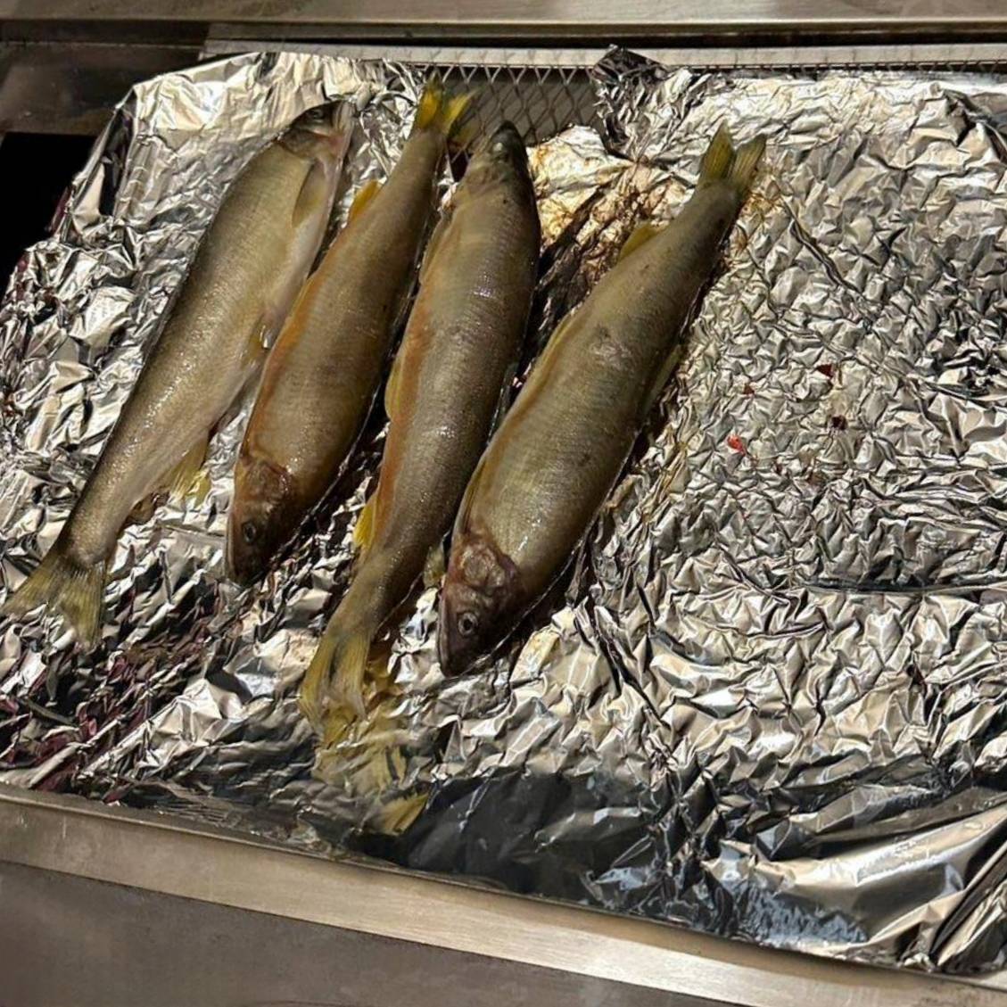 台南市玉井區露營推薦｜曉晴星空露營地玉井營區｜夜宿潔白浪漫的星空帳，交通最方便懶人豪華露營，適合各年齡層之懶人露營入住心得分享！