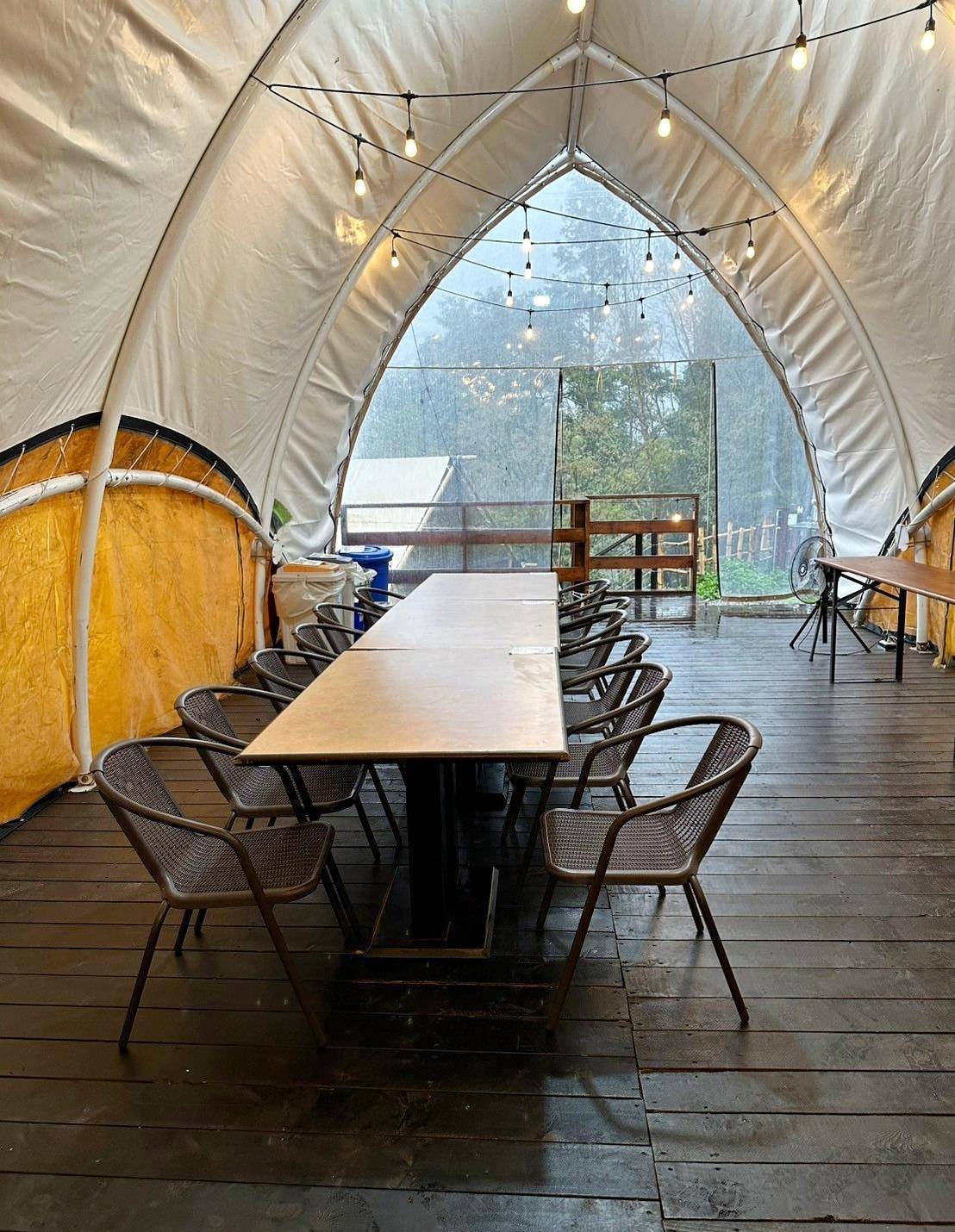 新竹縣尖石鄉露營推薦｜星空漫漫Starry Sky｜夜宿輕帳篷，林木蒼蒼花草扶疏，適合各年齡層之懶人露營入住心得分享！