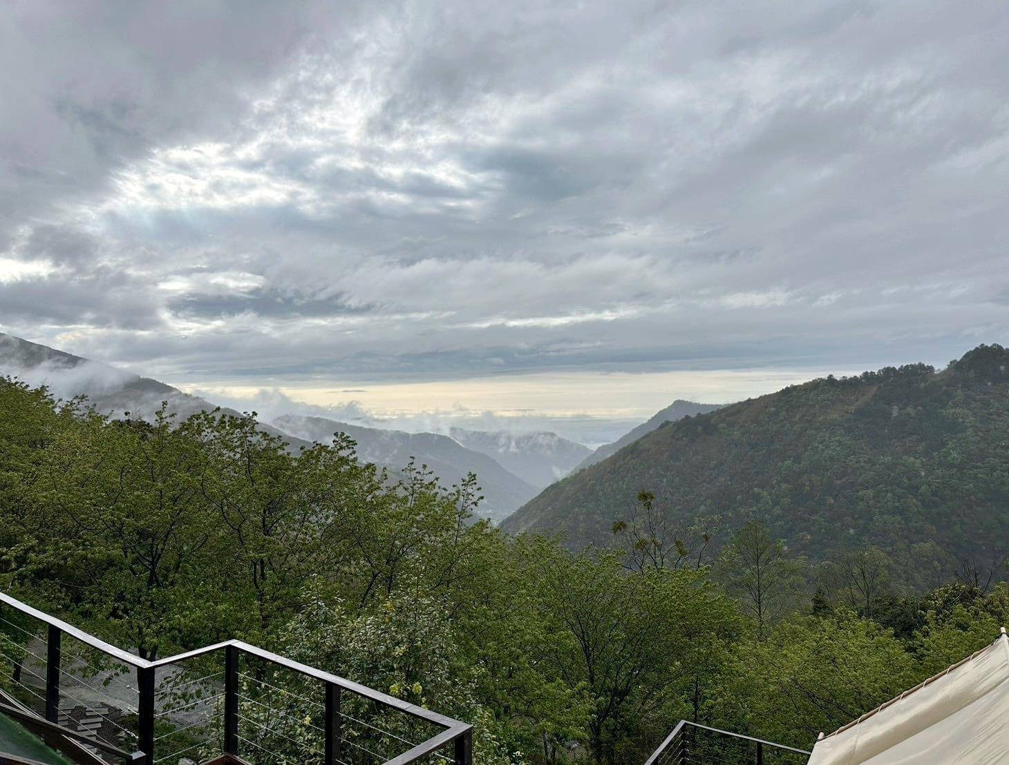 新竹縣尖石鄉露營推薦｜星空漫漫Starry Sky｜夜宿輕帳篷，林木蒼蒼花草扶疏，適合各年齡層之懶人露營入住心得分享！