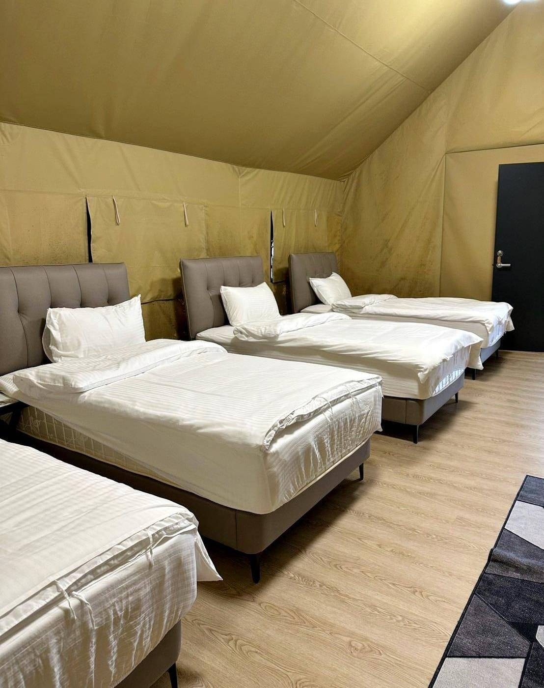 新竹縣尖石鄉露營推薦｜星空漫漫Starry Sky｜夜宿輕帳篷，林木蒼蒼花草扶疏，適合各年齡層之懶人露營入住心得分享！