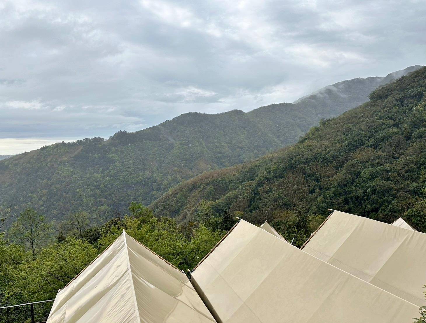 新竹縣尖石鄉露營推薦｜星空漫漫Starry Sky｜夜宿輕帳篷，林木蒼蒼花草扶疏，適合各年齡層之懶人露營入住心得分享！