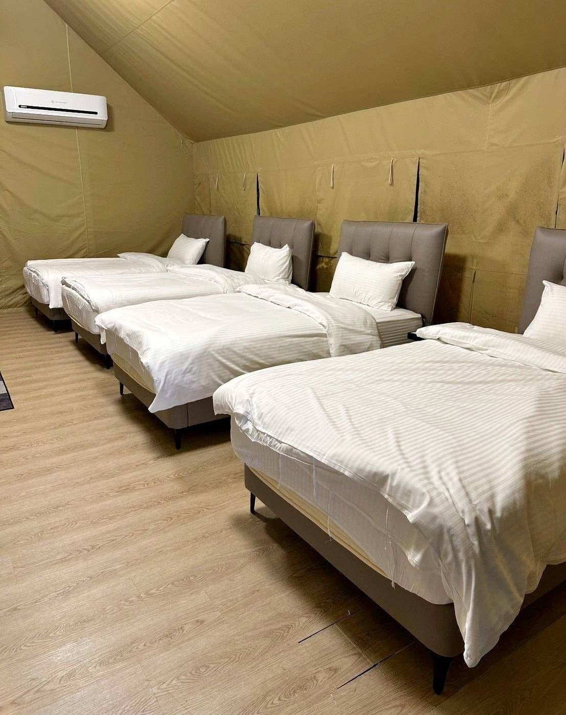 新竹縣尖石鄉露營推薦｜星空漫漫Starry Sky｜夜宿輕帳篷，林木蒼蒼花草扶疏，適合各年齡層之懶人露營入住心得分享！