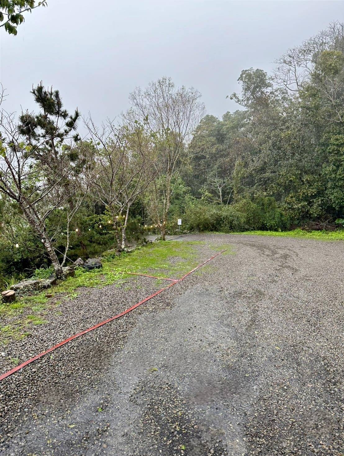 新竹縣尖石鄉露營推薦｜星空漫漫Starry Sky｜夜宿輕帳篷，林木蒼蒼花草扶疏，適合各年齡層之懶人露營入住心得分享！