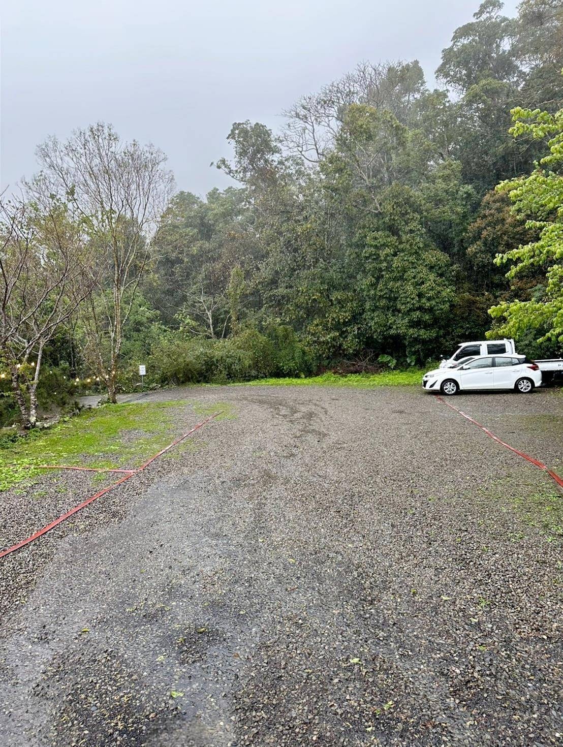 新竹縣尖石鄉露營推薦｜星空漫漫Starry Sky｜夜宿輕帳篷，林木蒼蒼花草扶疏，適合各年齡層之懶人露營入住心得分享！